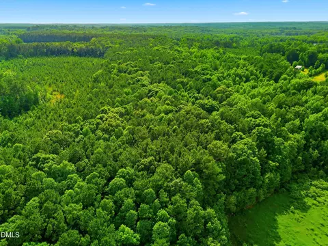 6 48 Acres Flower Hill Rd, Middlesex, NC 27557 photo 4