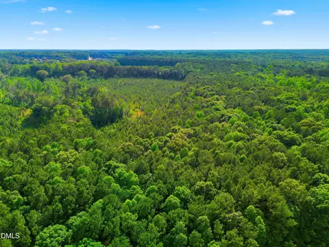 6 48 Acres Flower Hill Rd, Middlesex, NC 27557 photo 3