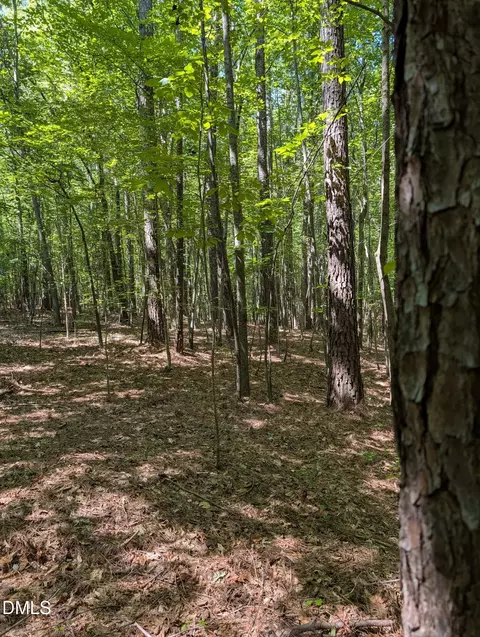 Tract B2 Thelma Road, Roanoke Rapids, NC 27870