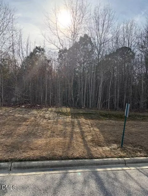 206 Hope St, Erwin, NC 28339