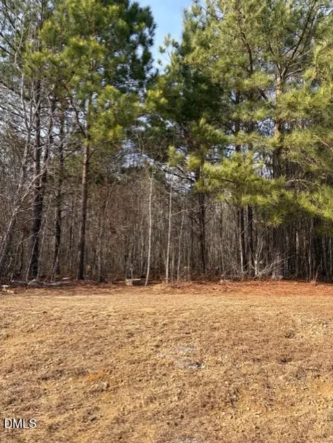 206 Hope St, Erwin, NC 28339 photo 10