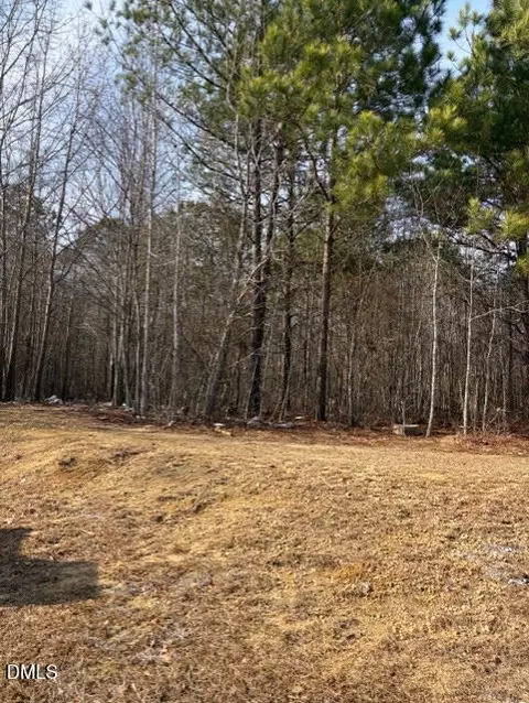 206 Hope St, Erwin, NC 28339 photo 8