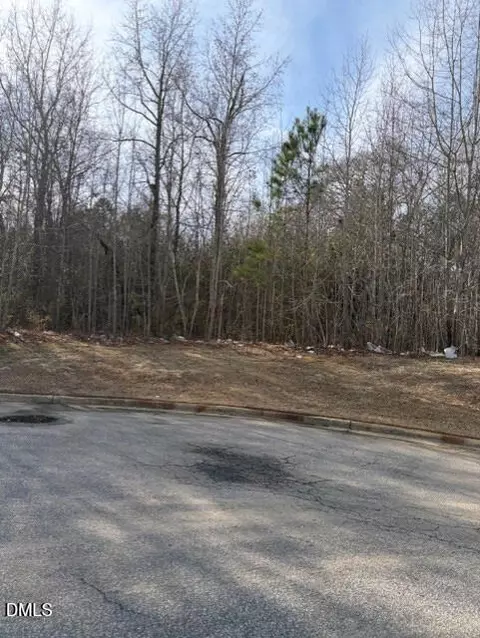 206 Hope St, Erwin, NC 28339 photo 4