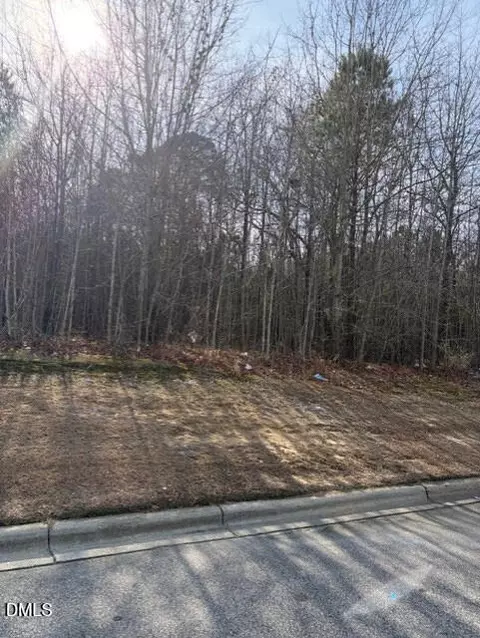 206 Hope St, Erwin, NC 28339 photo 2