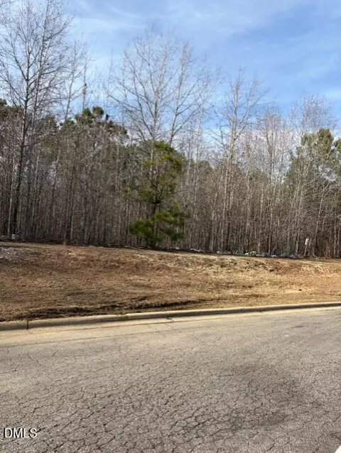 206 Hope St, Erwin, NC 28339 photo 6