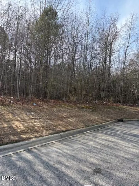 206 Hope St, Erwin, NC 28339 photo 3