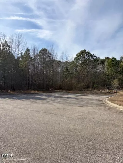0 Saint Matthews Rd, Erwin, NC 28339 photo 4