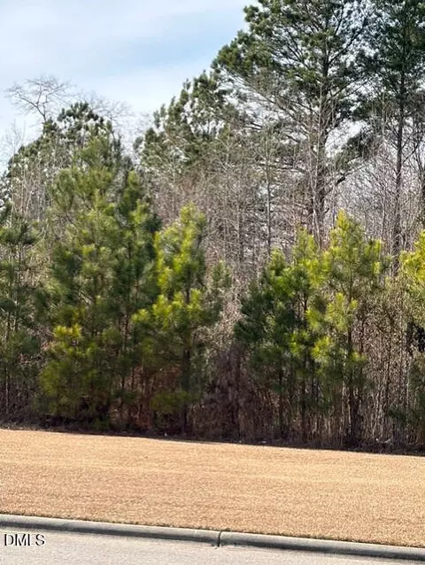 0 Saint Matthews Rd, Erwin, NC 28339 photo 2