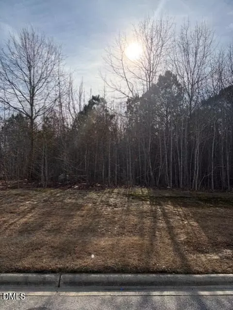 590 E Jackson Blvd, Erwin, NC 28339 photo 6
