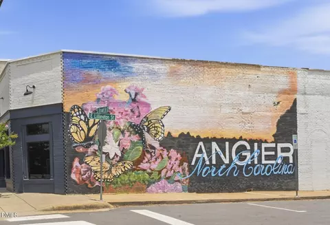 Other - 116 E Lillington St, Angier, NC 27501 photo 9 of 13