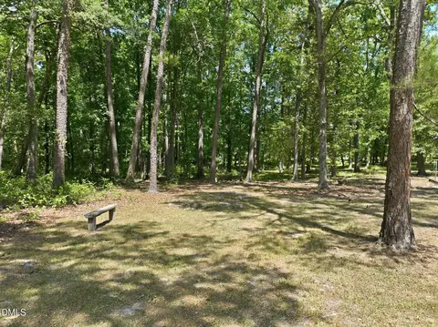 Exterior - 908 Chambers Rd, Rougemont, NC 27572 photo 10 of 13