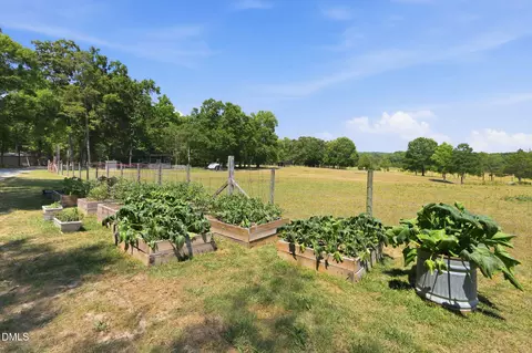 Exterior - 908 Chambers Rd, Rougemont, NC 27572 photo 7 of 13