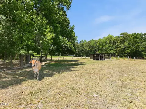 Other - 908 Chambers Rd, Rougemont, NC 27572 photo 16 of 18