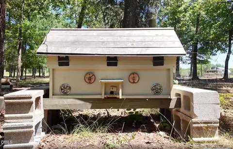Other - 908 Chambers Rd, Rougemont, NC 27572 photo 17 of 18