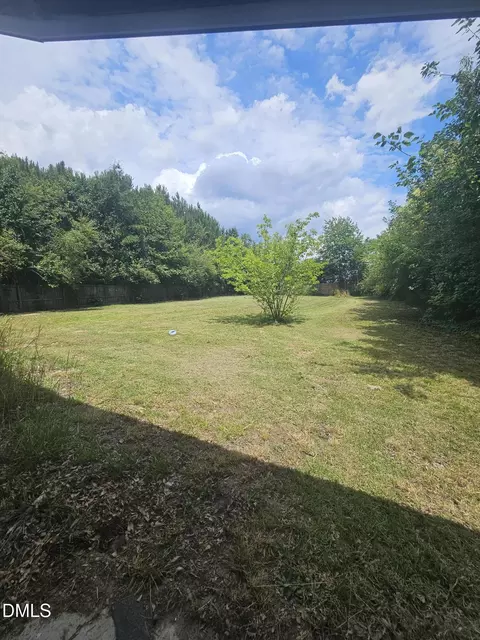 Exterior - 202 E Blanche St, Pine Level, NC 27568 photo 2 of 3