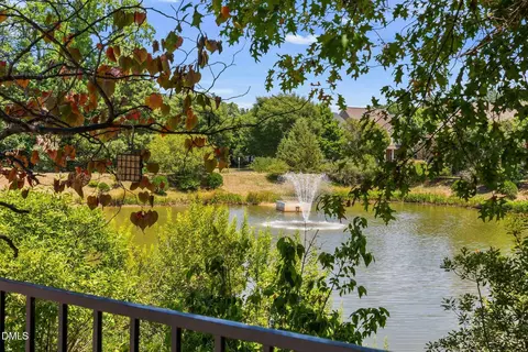 View/Area - 929 Shoofly Path, Apex, NC 27502 photo 1 of 5