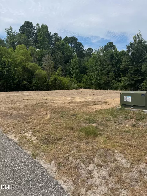 154 Declaration Dr, Cameron, NC 28326 photo 6