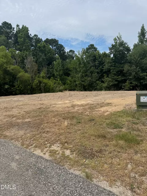 154 Declaration Dr, Cameron, NC 28326 photo 5
