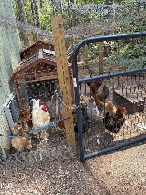 Other - 1106 Scott King Rd, Durham, NC 27713 photo 9 of 12