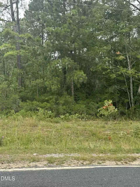 439 Needmore Rd, Cameron, NC 28326 photo 8