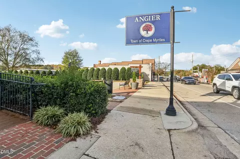 Other - 47 Thistle Patch Pl, Angier, NC 27501 photo 10 of 10