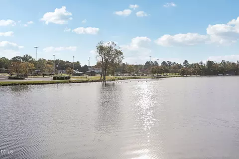 View/Area - 47 Thistle Patch Pl, Angier, NC 27501 photo 2 of 2