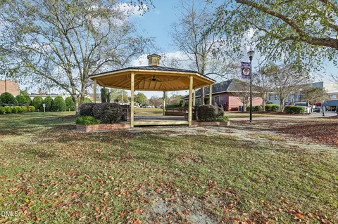 Other - 47 Thistle Patch Pl, Angier, NC 27501 photo 7 of 10