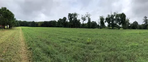 0 Cone Rd, Middlesex, NC 27557 photo 11
