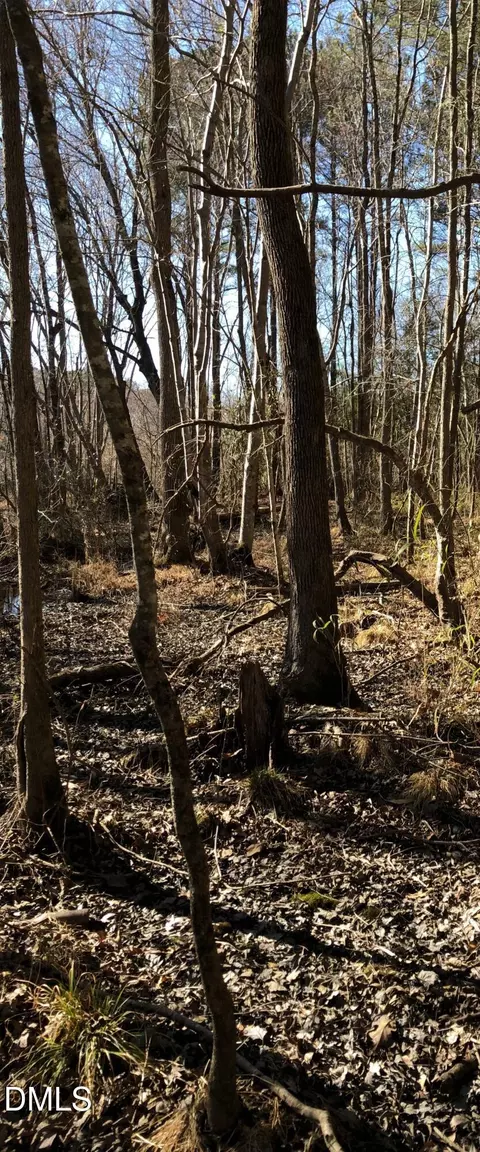 0 Cone Rd, Middlesex, NC 27557 photo 6