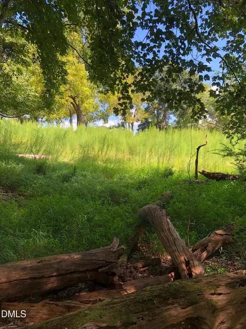 0 Cone Rd, Middlesex, NC 27557 photo 8