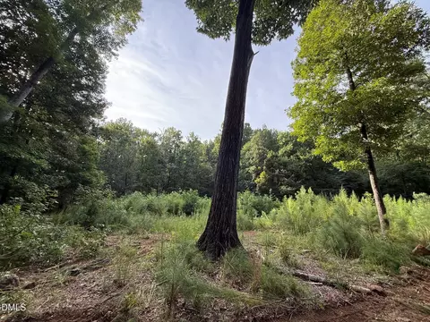 lot1 Orange Grv St, Hillsborough, NC 27278