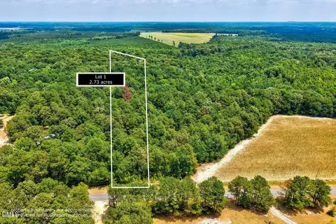 lot1 Ruth Vinson Rd, Autryville, NC 28318