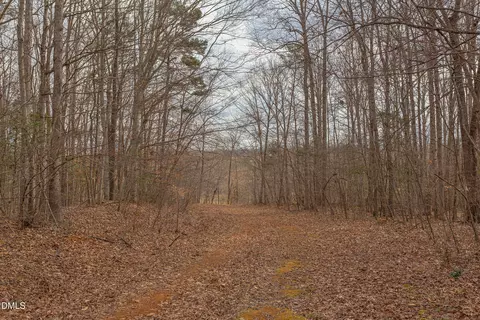 624 Bowen Rd, Rougemont, NC 27572 photo 8