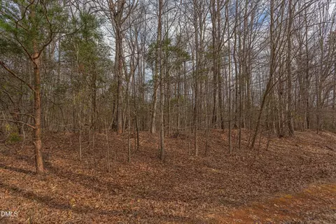 624 Bowen Rd, Rougemont, NC 27572 photo 7