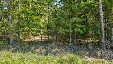 0 Weldon Painter Rd, Timberlake, NC 27583 photo 3