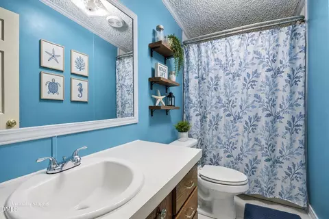 Bath - 169 Mount Pleasant Rd, Willow Spring, NC 27592 photo 1 of 1