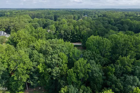 View/Area - 5300 Mill Dam Rd, Wake Forest, NC 27587 photo 4 of 6