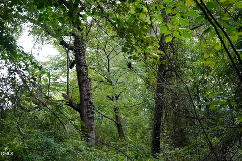 19 2 Acres Bunnlevel Erwin Rd, Erwin, NC 28339 photo 21