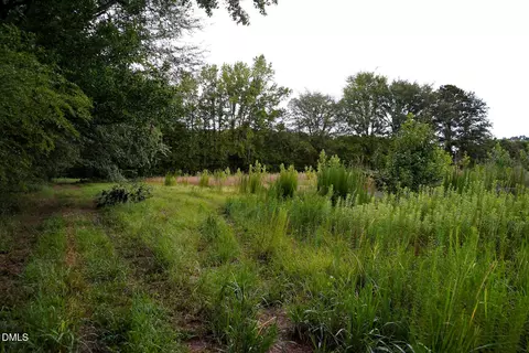 19 2 Acres Bunnlevel Erwin Rd, Erwin, NC 28339 photo 29