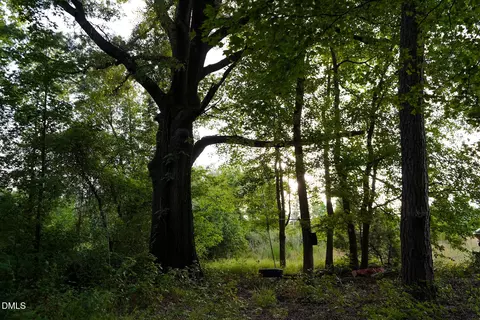 19 2 Acres Bunnlevel Erwin Rd, Erwin, NC 28339 photo 11