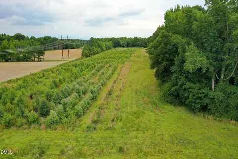 19 2 Acres Bunnlevel Erwin Rd, Erwin, NC 28339 photo 17
