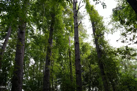 19 2 Acres Bunnlevel Erwin Rd, Erwin, NC 28339 photo 20