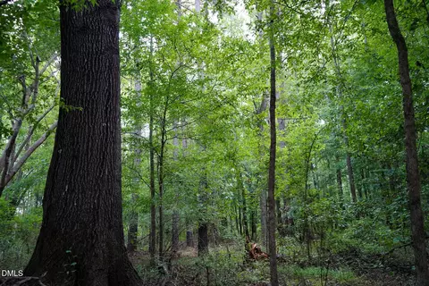 19 2 Acres Bunnlevel Erwin Rd, Erwin, NC 28339 photo 19