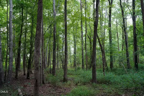 19 2 Acres Bunnlevel Erwin Rd, Erwin, NC 28339 photo 18
