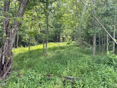 2 Gray Rd, Timberlake, NC 27583 photo 16