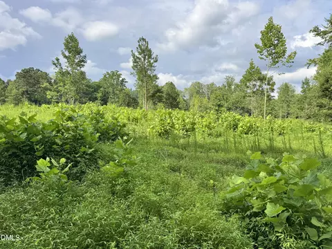 2 Gray Rd, Timberlake, NC 27583 photo 17