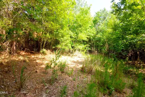 3 Bowden Rd, Turkey, NC 28393 photo 33