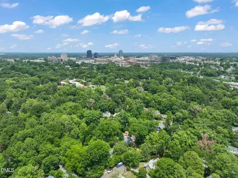 1018 Wells St, Durham, NC 27707 photo 10