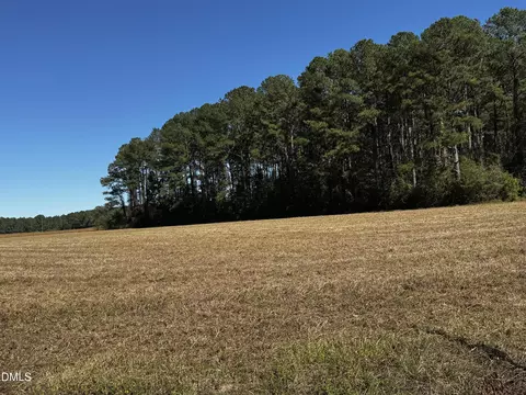 0 Crocker Rd, Smithfield, NC 27577 photo 9