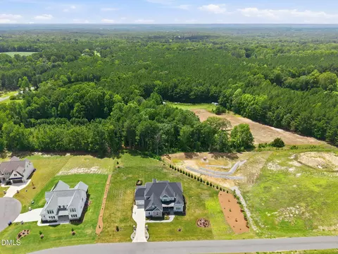 View/Area - 3621 Bailey Mdws Dr, Wake Forest, NC 27587 photo 4 of 9